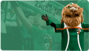 Zalgiris Insider